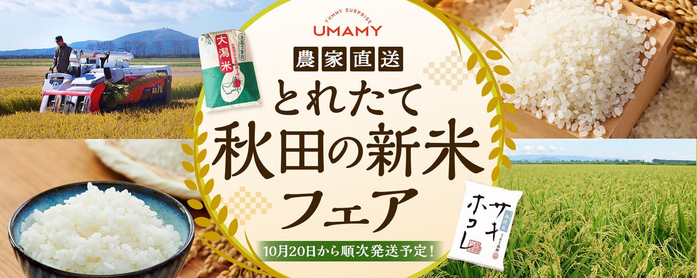 【期間限定】とれたて秋田の新米を生産者直送でお届けします