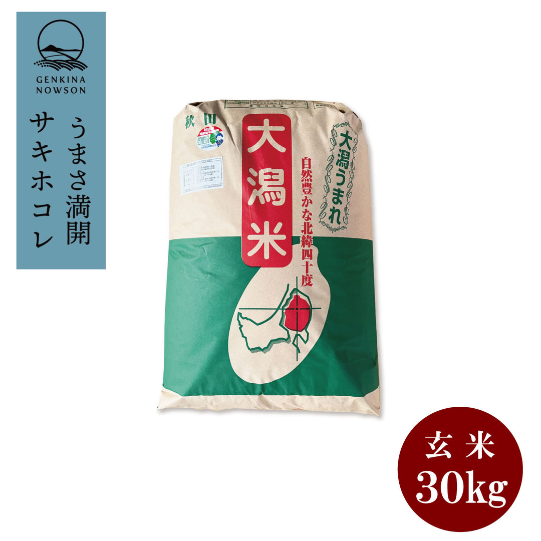 10月19日発送開始・送料無料】元気なNOWSONのサキホコレ 玄米30kg