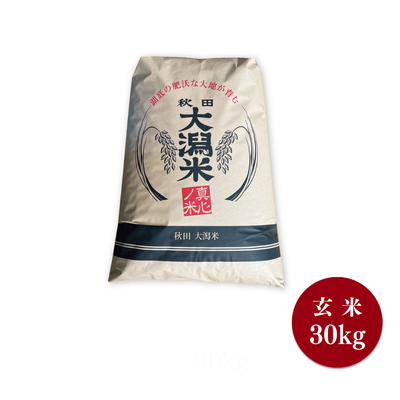 【10月20日頃発送開始・送料無料】一色田さんのあきたこまち　玄米30kg