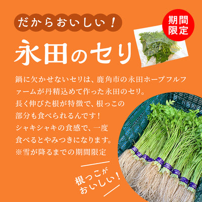 【期間限定/送料無料】贅沢きりたんぽ鍋セット(2〜3人前) 野菜付き
