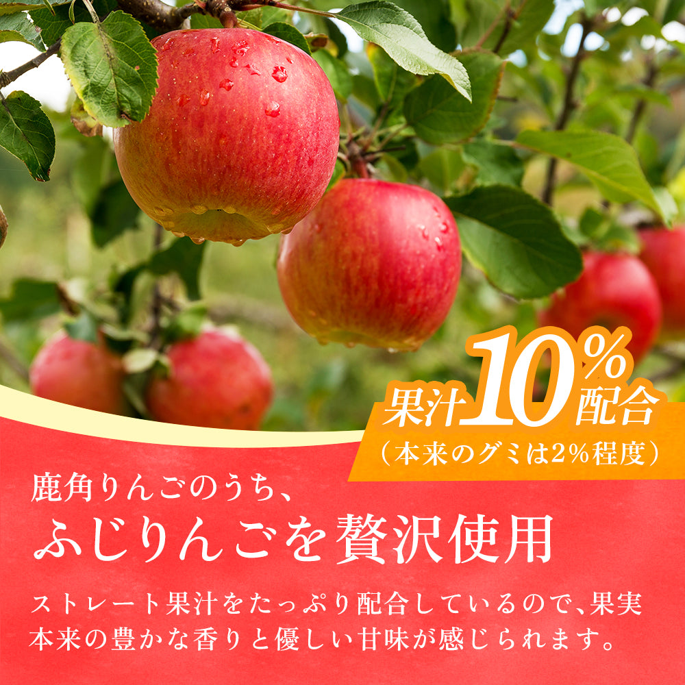 もっちり濃厚果実 鹿角りんごグミ 45g – Terroir to Table
