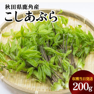 【受付終了】秋田の山菜 こしあぶら 200g